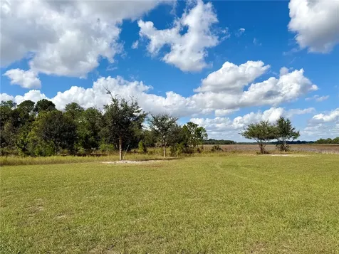 Bonsmara Drive Groveland FL 34736
