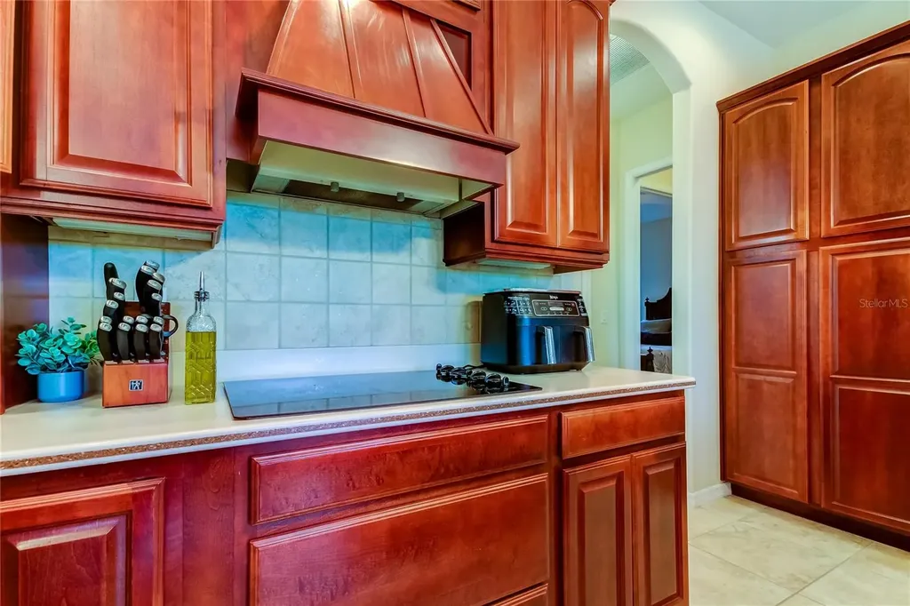 1422 Aristides Court Odessa FL 33556