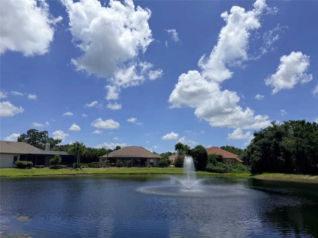 1422 Aristides Court Odessa FL 33556