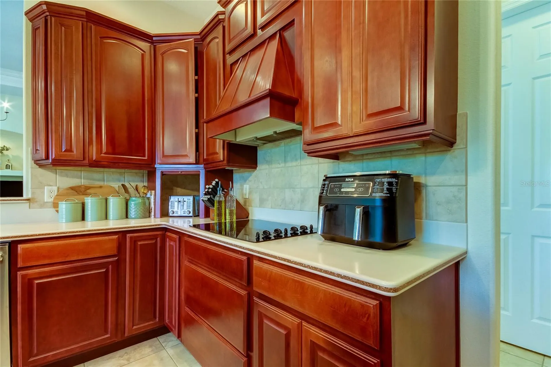 1422 Aristides Court Odessa FL 33556