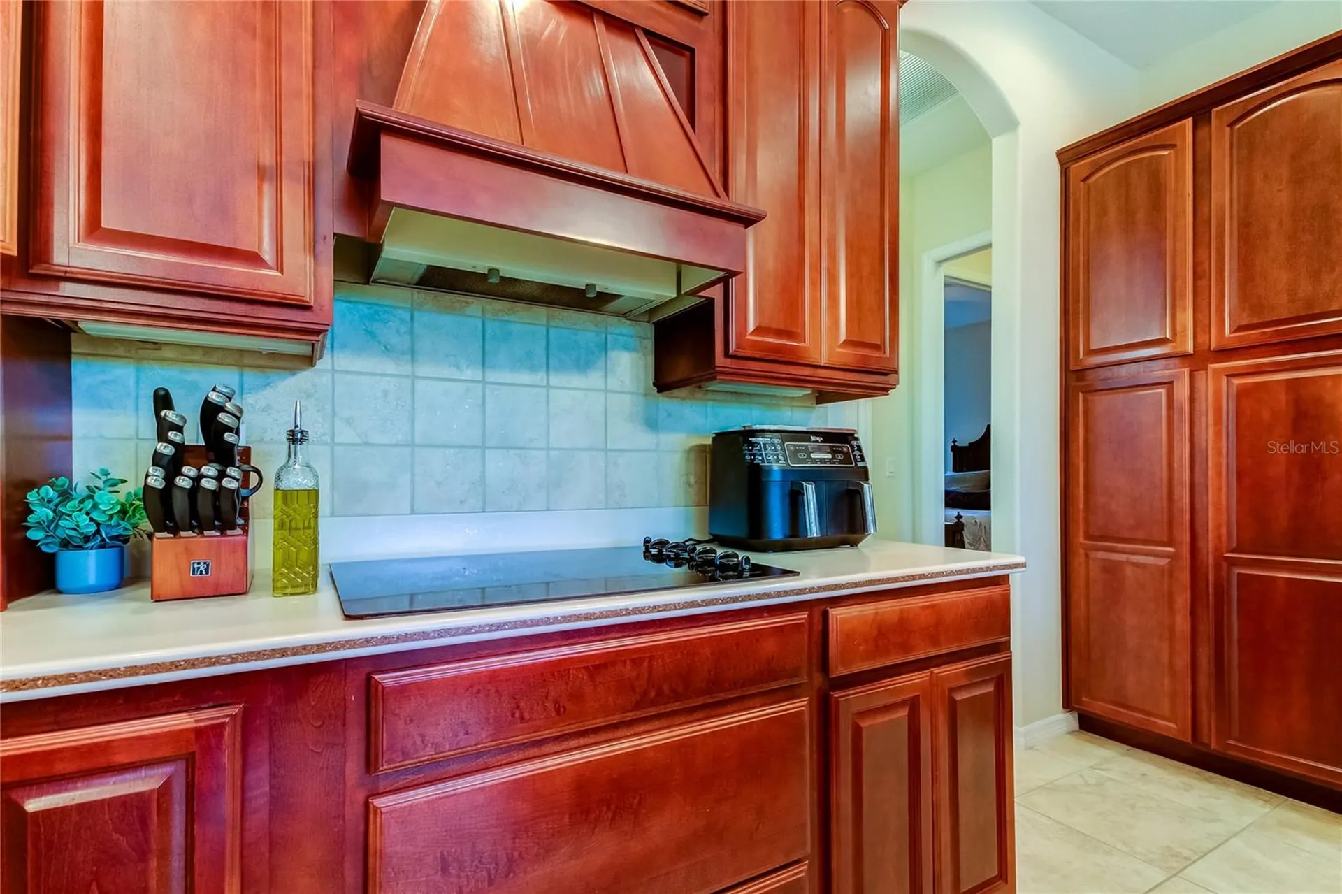 1422 Aristides Court Odessa FL 33556