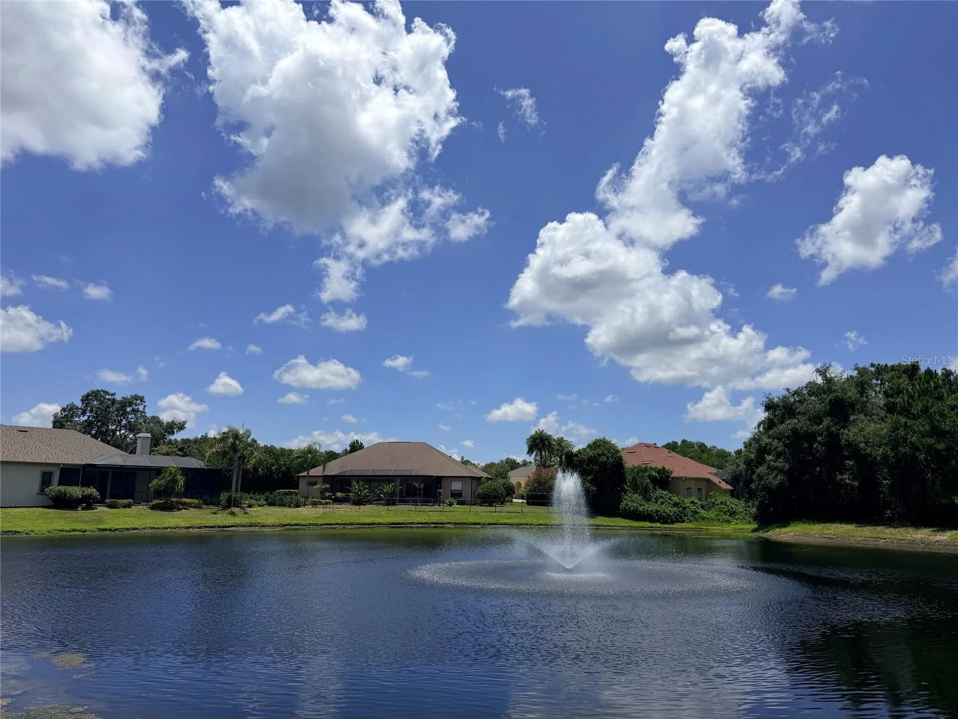 1422 Aristides Court Odessa FL 33556