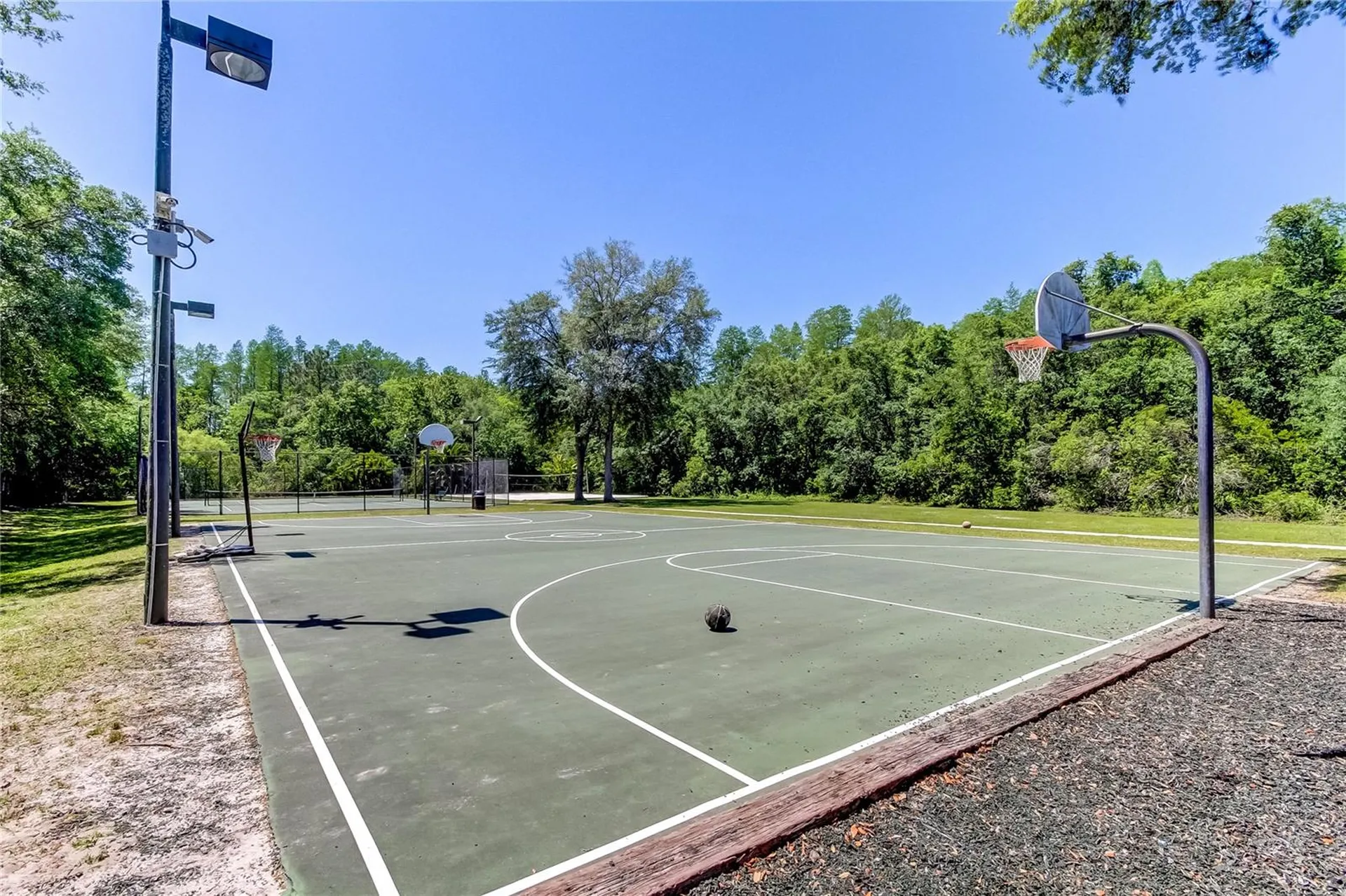1422 Aristides Court Odessa FL 33556