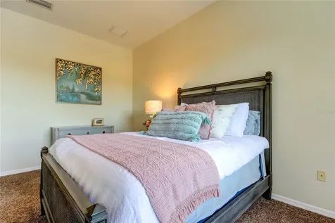 1422 Aristides Court Odessa FL 33556
