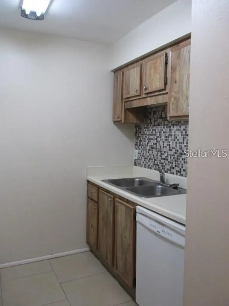 14227 Shadow Moss Lane Tampa FL 33613