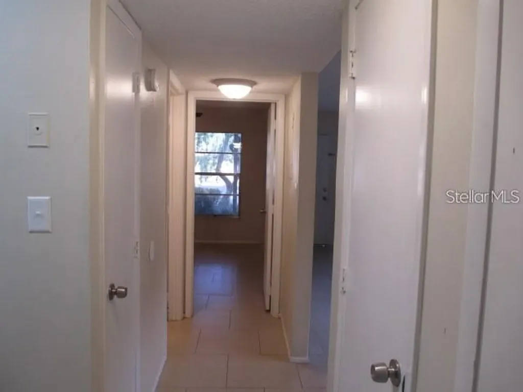 14227 Shadow Moss Lane Tampa FL 33613