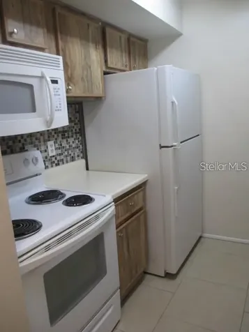 14227 Shadow Moss Lane Tampa FL 33613