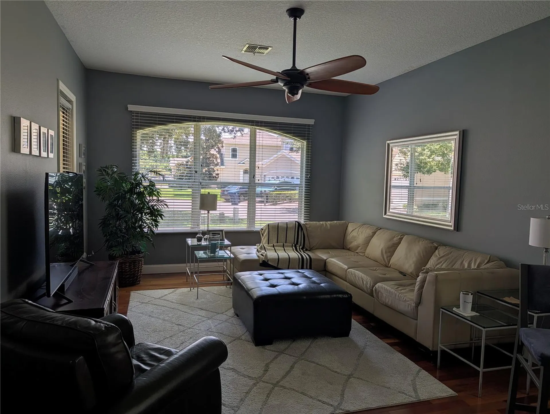 7419 Wimpole Drive New Port Richey FL 34655