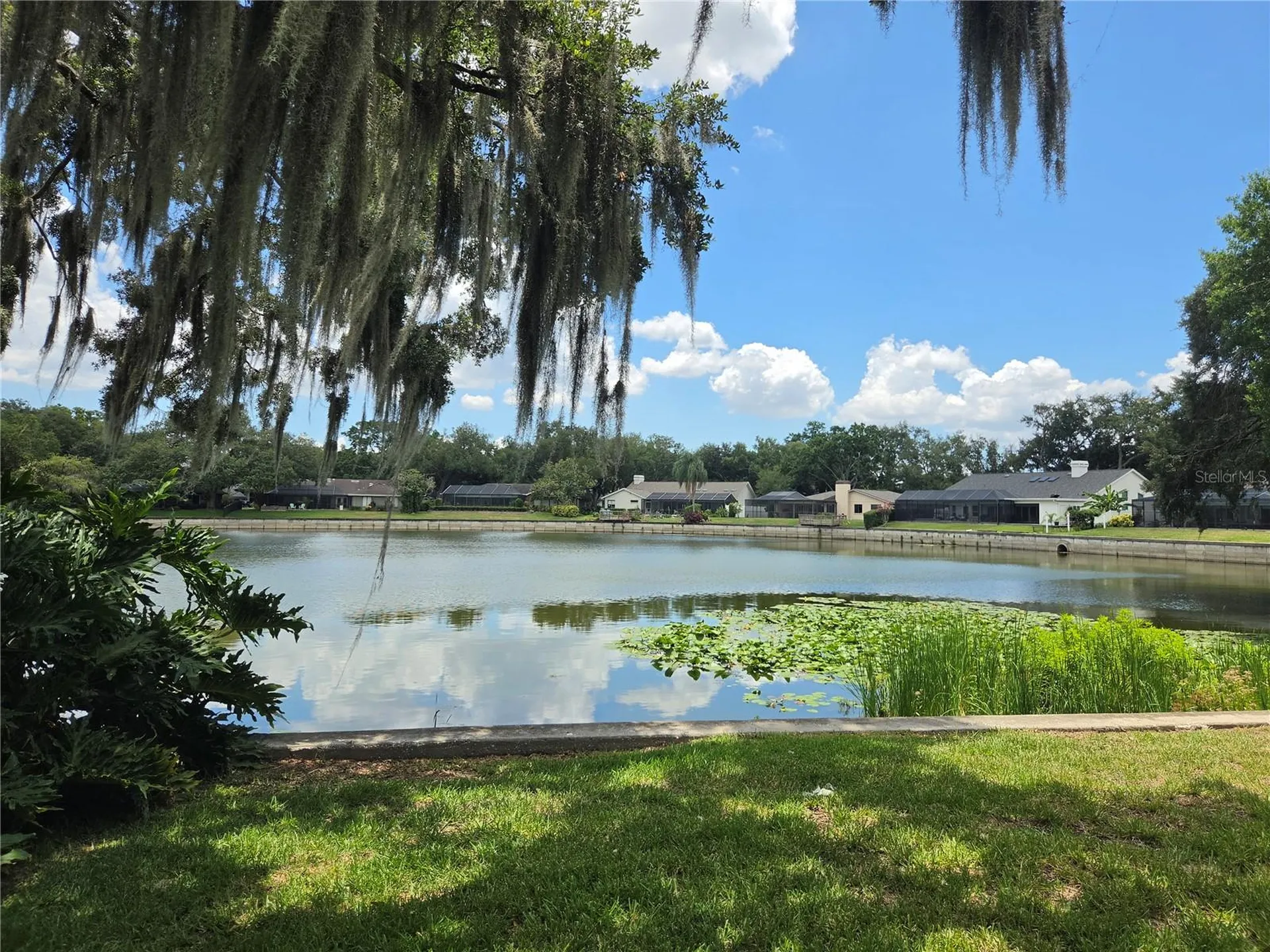 1711 Magdalene Manor Drive Tampa FL 33613