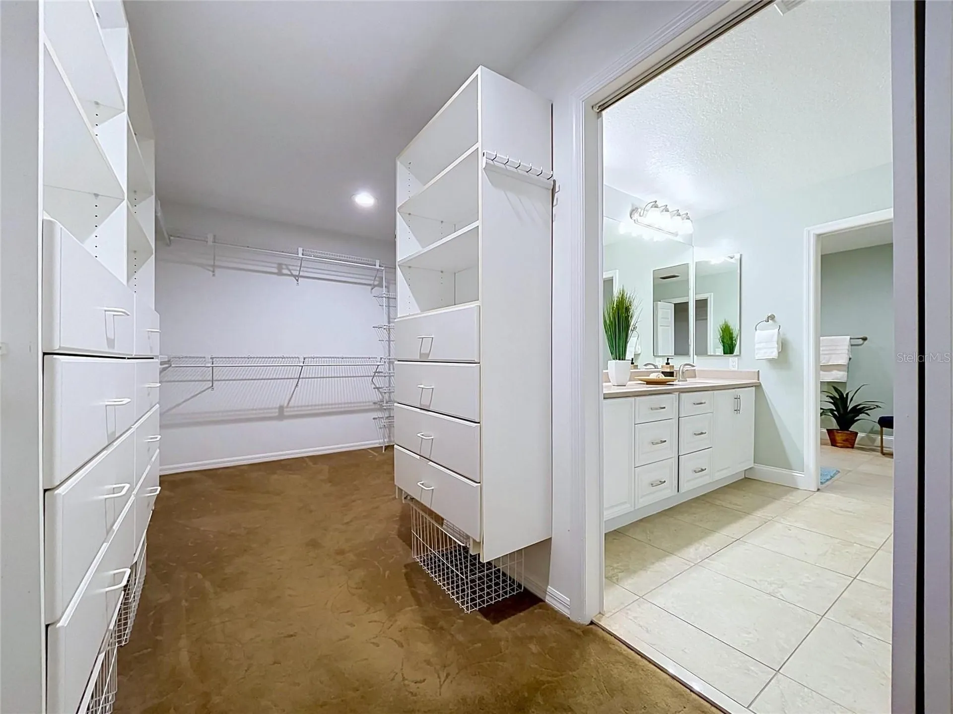 1711 Magdalene Manor Drive Tampa FL 33613
