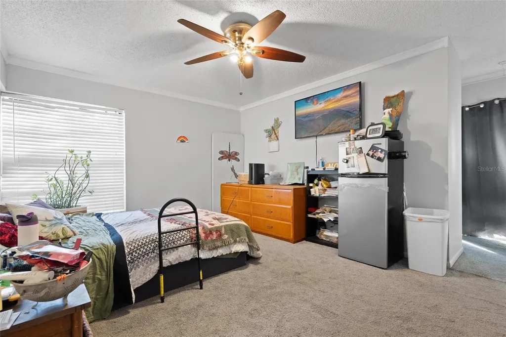 15648 Bear Creek Drive Tampa FL 33624