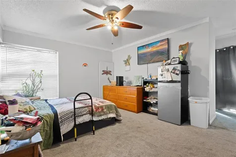 15648 Bear Creek Drive Tampa FL 33624