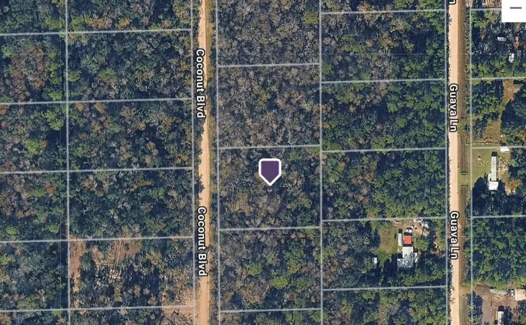 1743 Coconut Boulevard Bunnell FL 32110