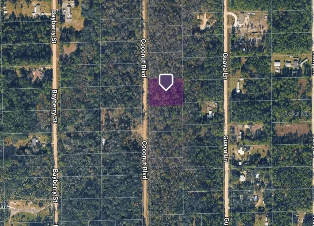 1743 Coconut Boulevard Bunnell FL 32110