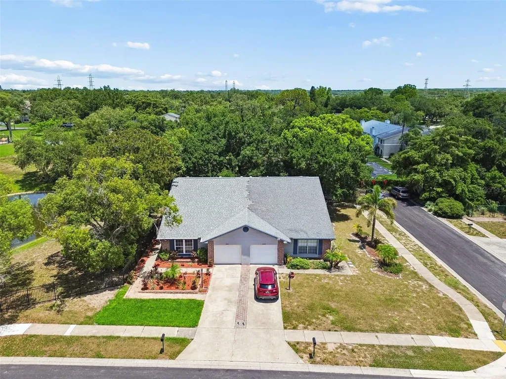 2861 Whitehall Drive Palm Harbor FL 34684