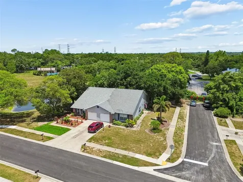 2861 Whitehall Drive Palm Harbor FL 34684