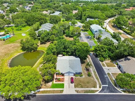 2861 Whitehall Drive Palm Harbor FL 34684