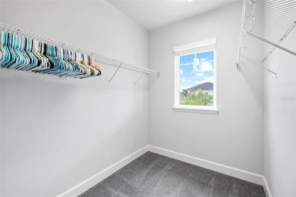 8029 Clementine Lane Tampa FL 33625