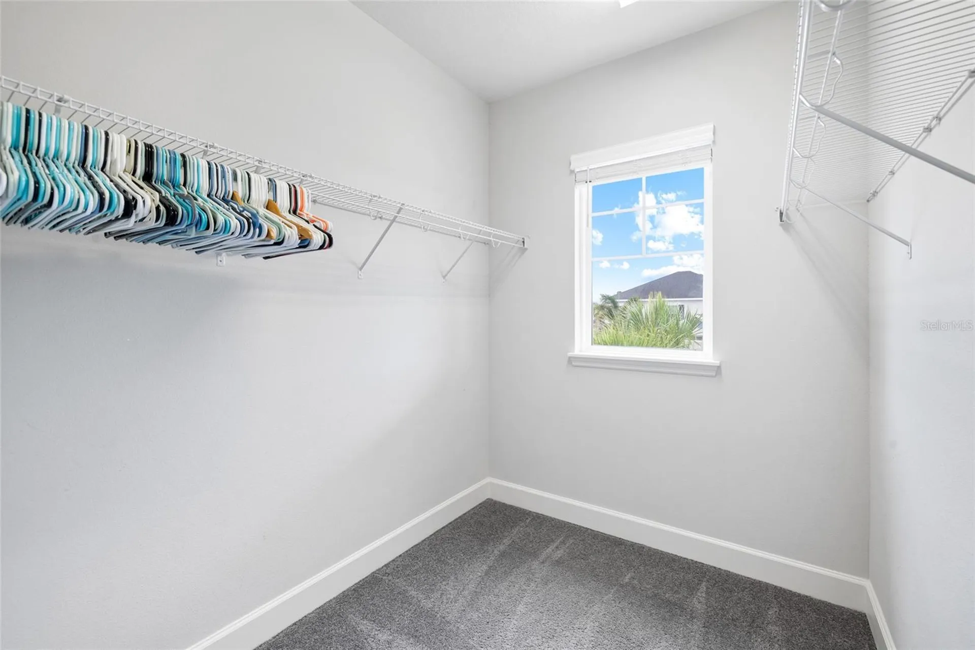 8029 Clementine Lane Tampa FL 33625