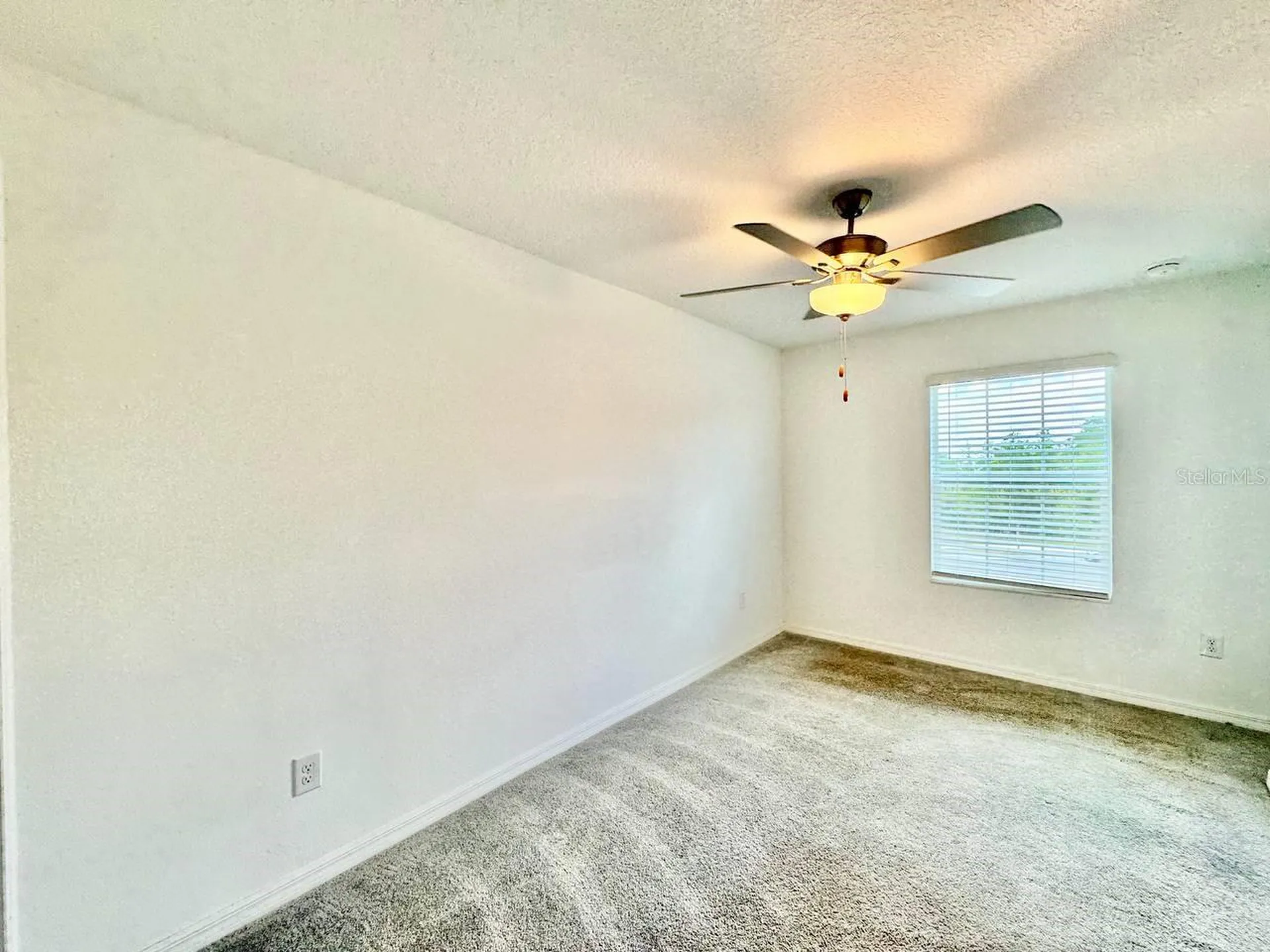 17657 Nectar Flume Drive Land O Lakes FL 34638