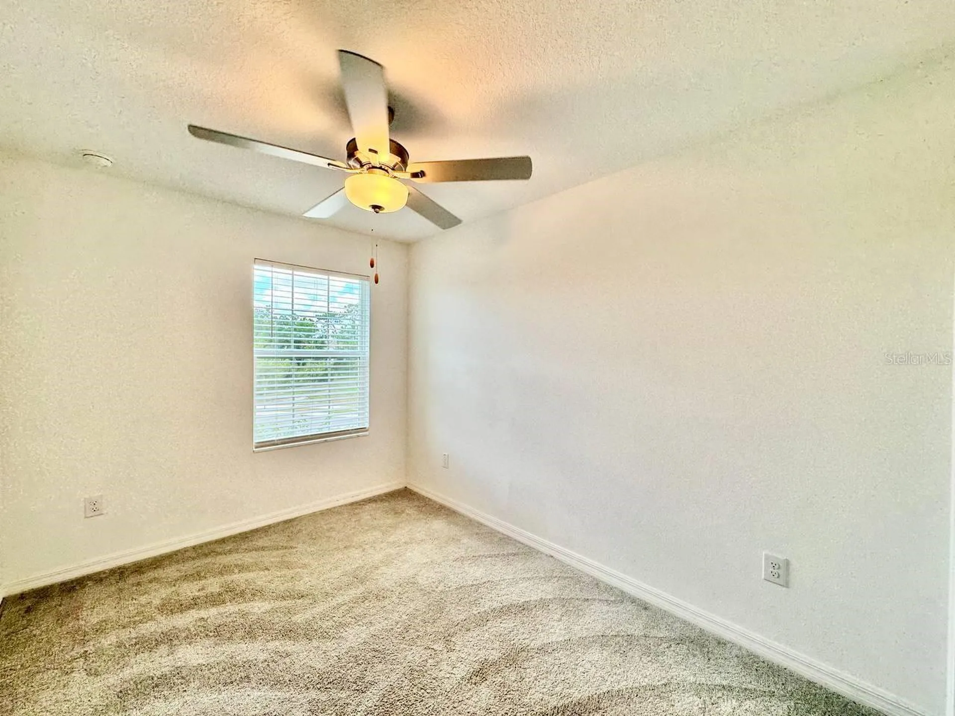 17657 Nectar Flume Drive Land O Lakes FL 34638