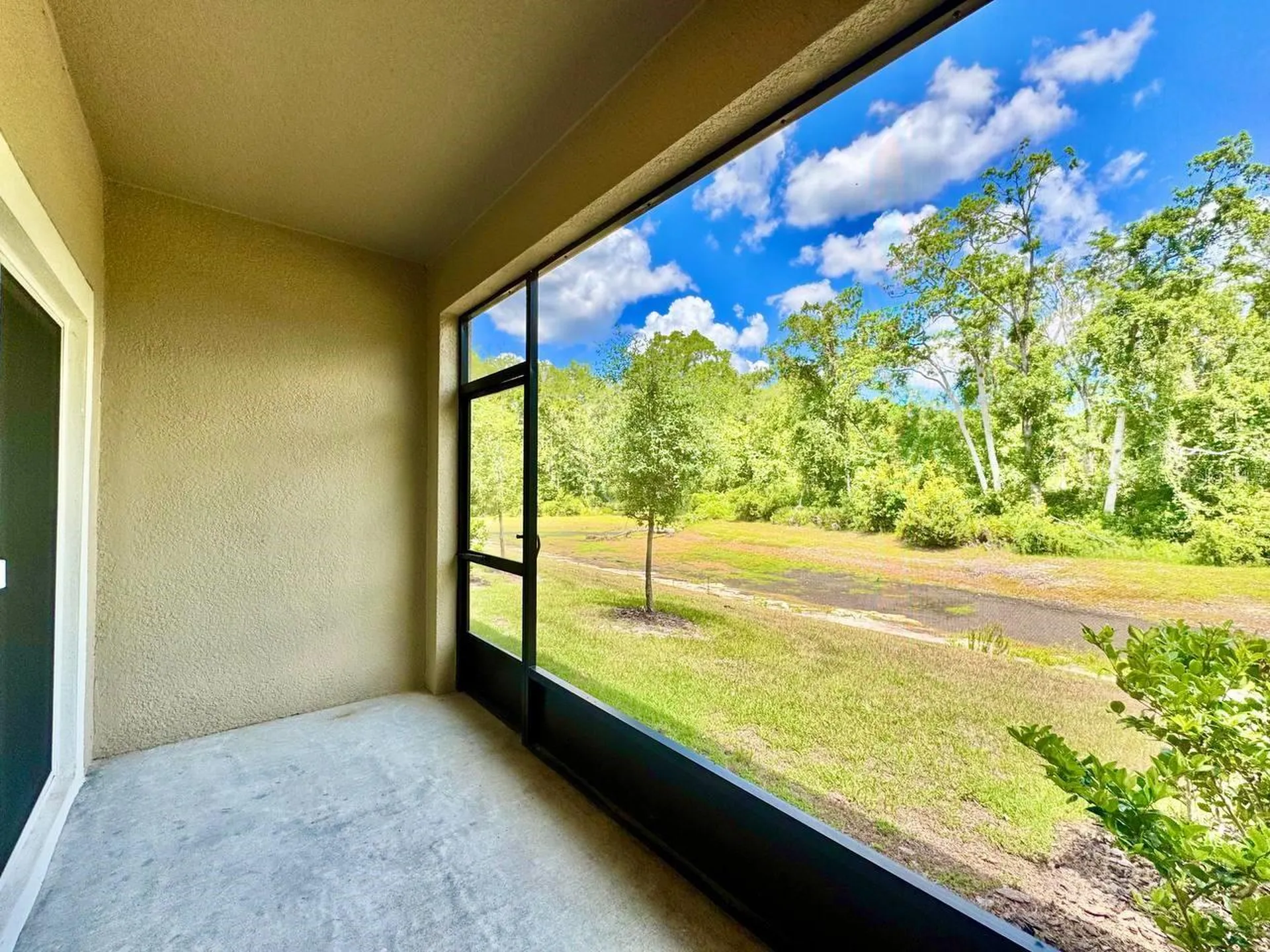 17657 Nectar Flume Drive Land O Lakes FL 34638