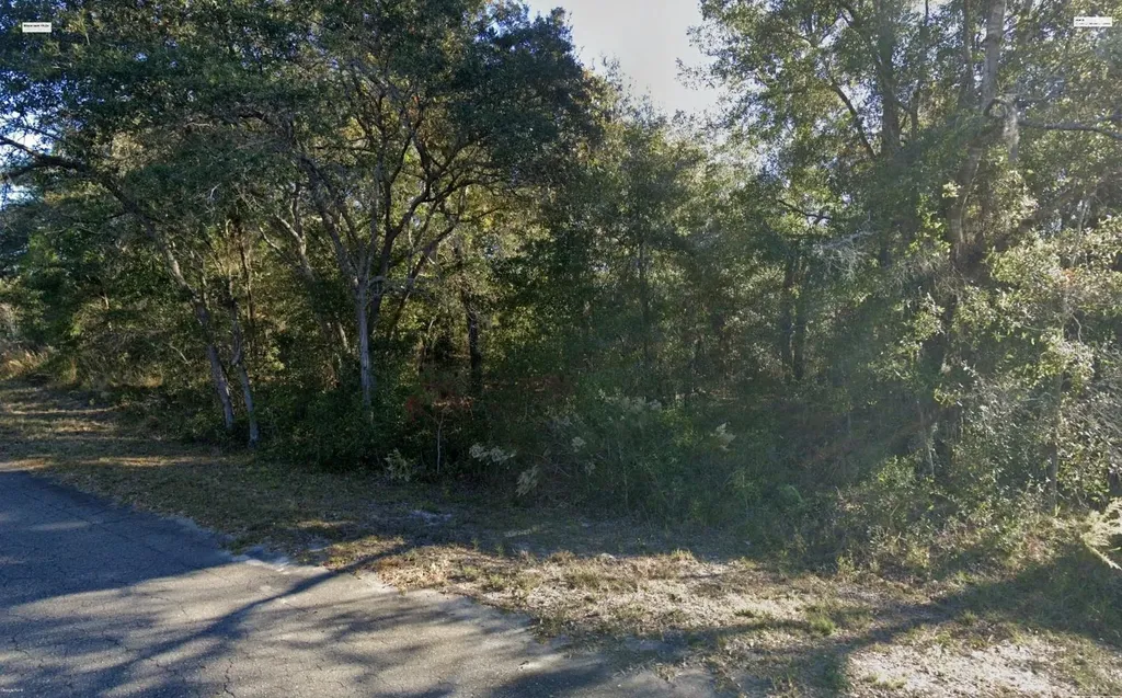 Fisher Lane Place Ocklawaha FL 32179