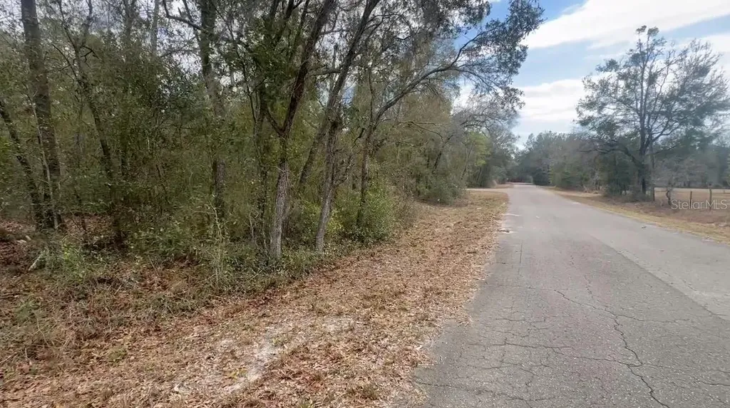 Fisher Lane Place Ocklawaha FL 32179