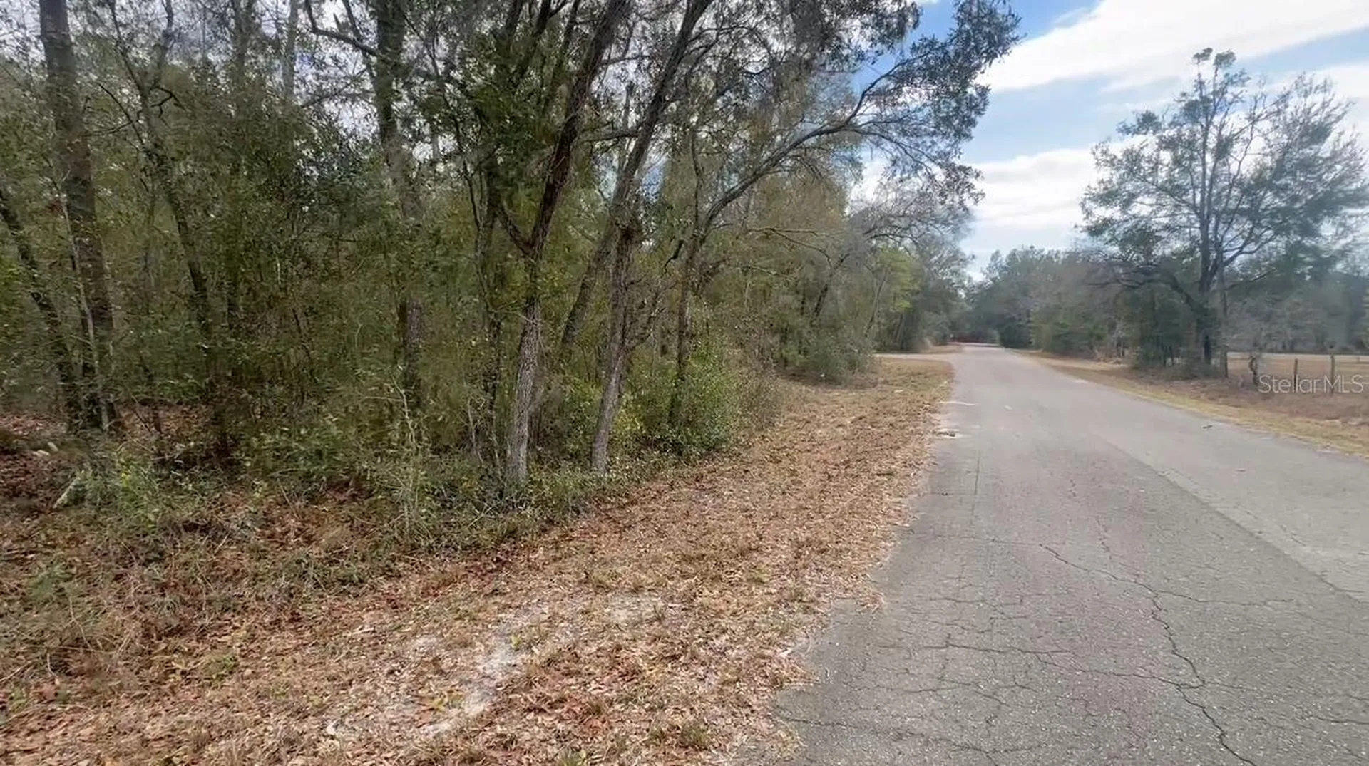 Fisher Lane Place Ocklawaha FL 32179