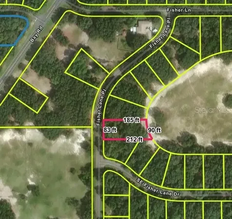 Fisher Lane Place Ocklawaha FL 32179