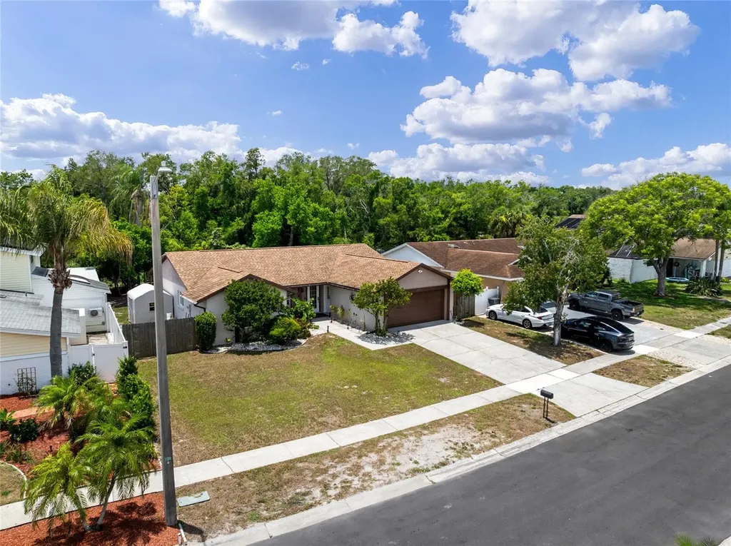 6916 Williams Drive Tampa FL 33634