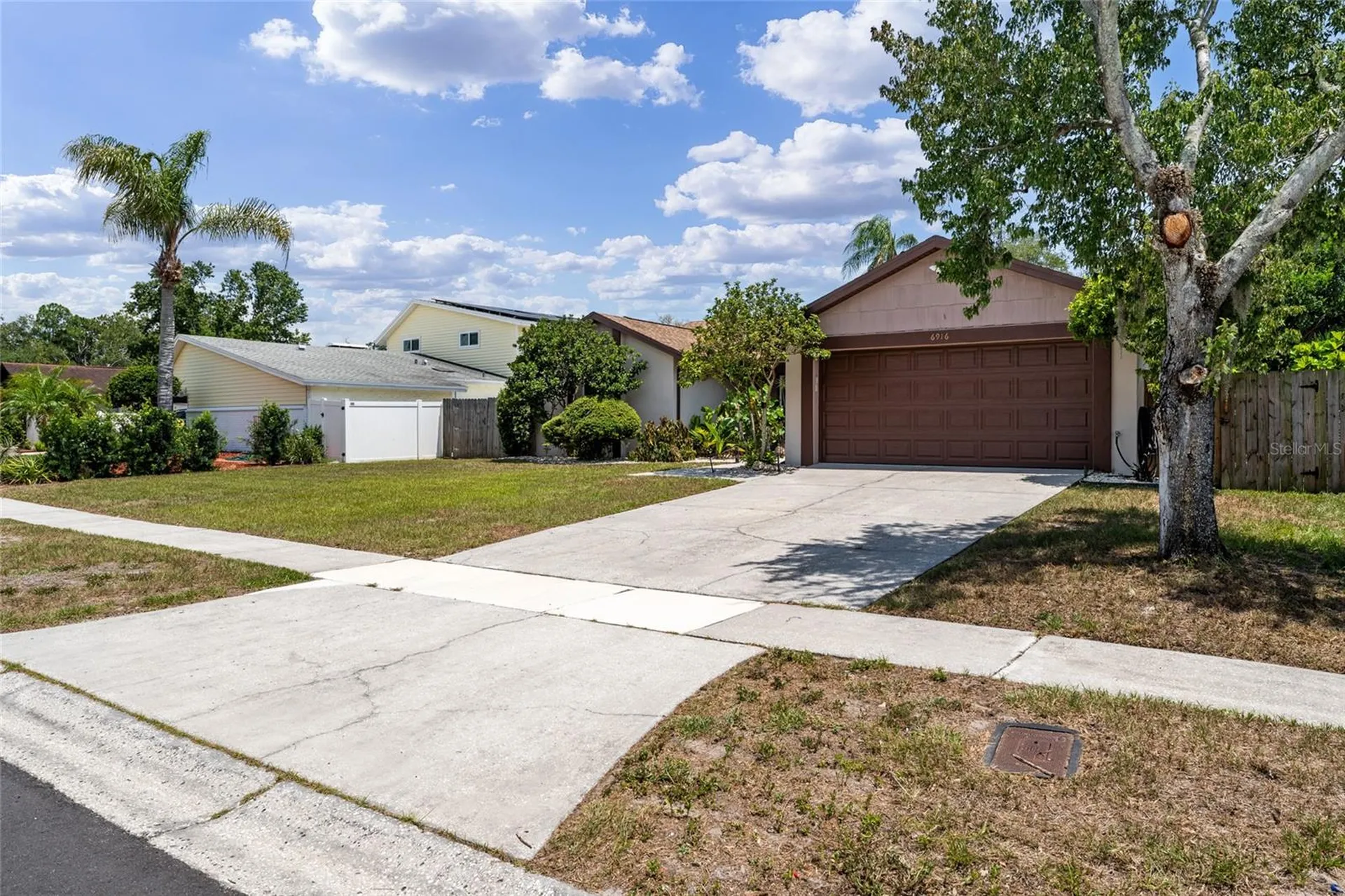 6916 Williams Drive Tampa FL 33634