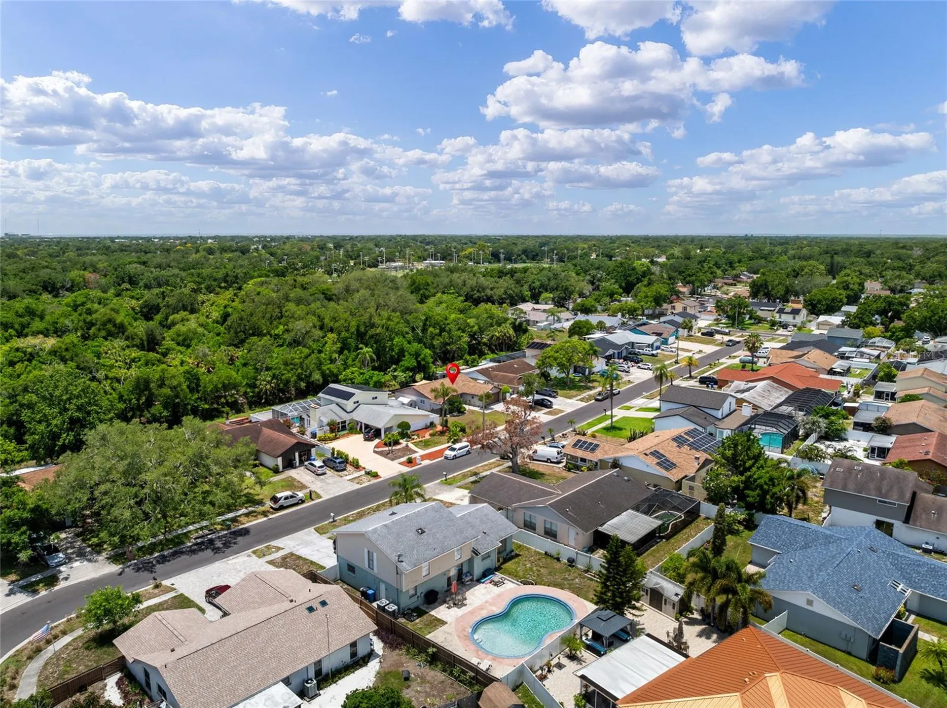 6916 Williams Drive Tampa FL 33634