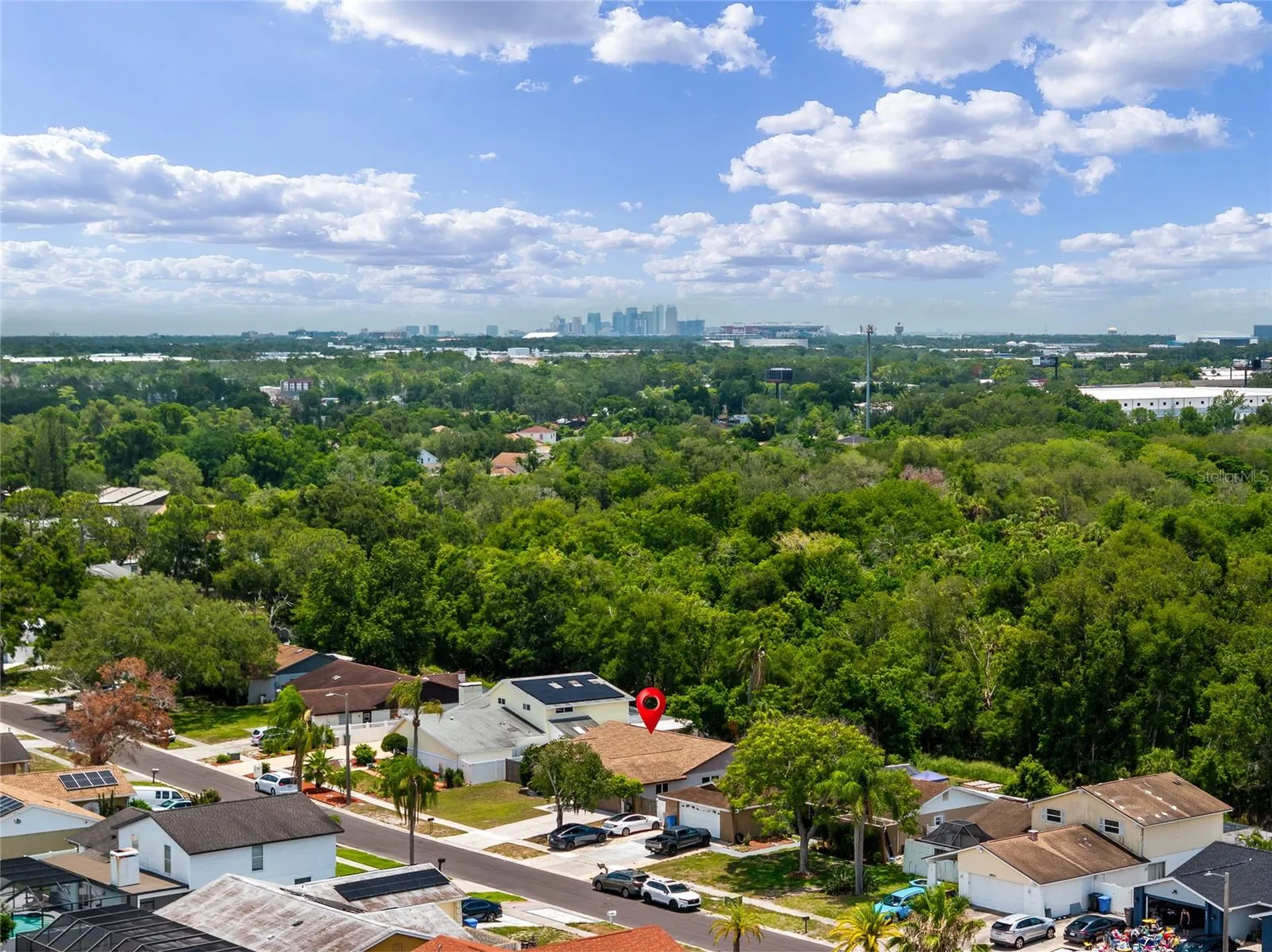 6916 Williams Drive Tampa FL 33634