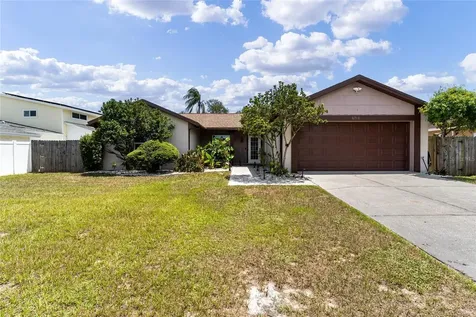 6916 Williams Drive Tampa FL 33634