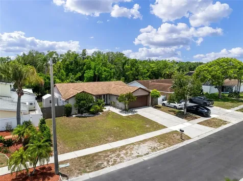 6916 Williams Drive Tampa FL 33634