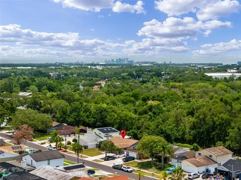 6916 Williams Drive Tampa FL 33634