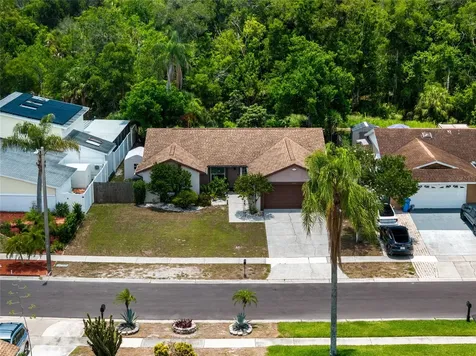 6916 Williams Drive Tampa FL 33634