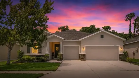 15313 Trinity Fall Way Bradenton FL 34212