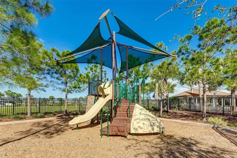 15313 Trinity Fall Way Bradenton FL 34212