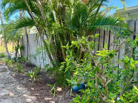 202 12th Avenue Indian Rocks Beach FL 33785