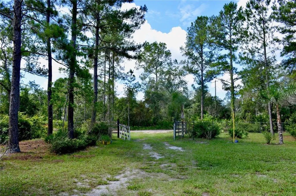 33135 Forest Ridge Road Deland FL 32720