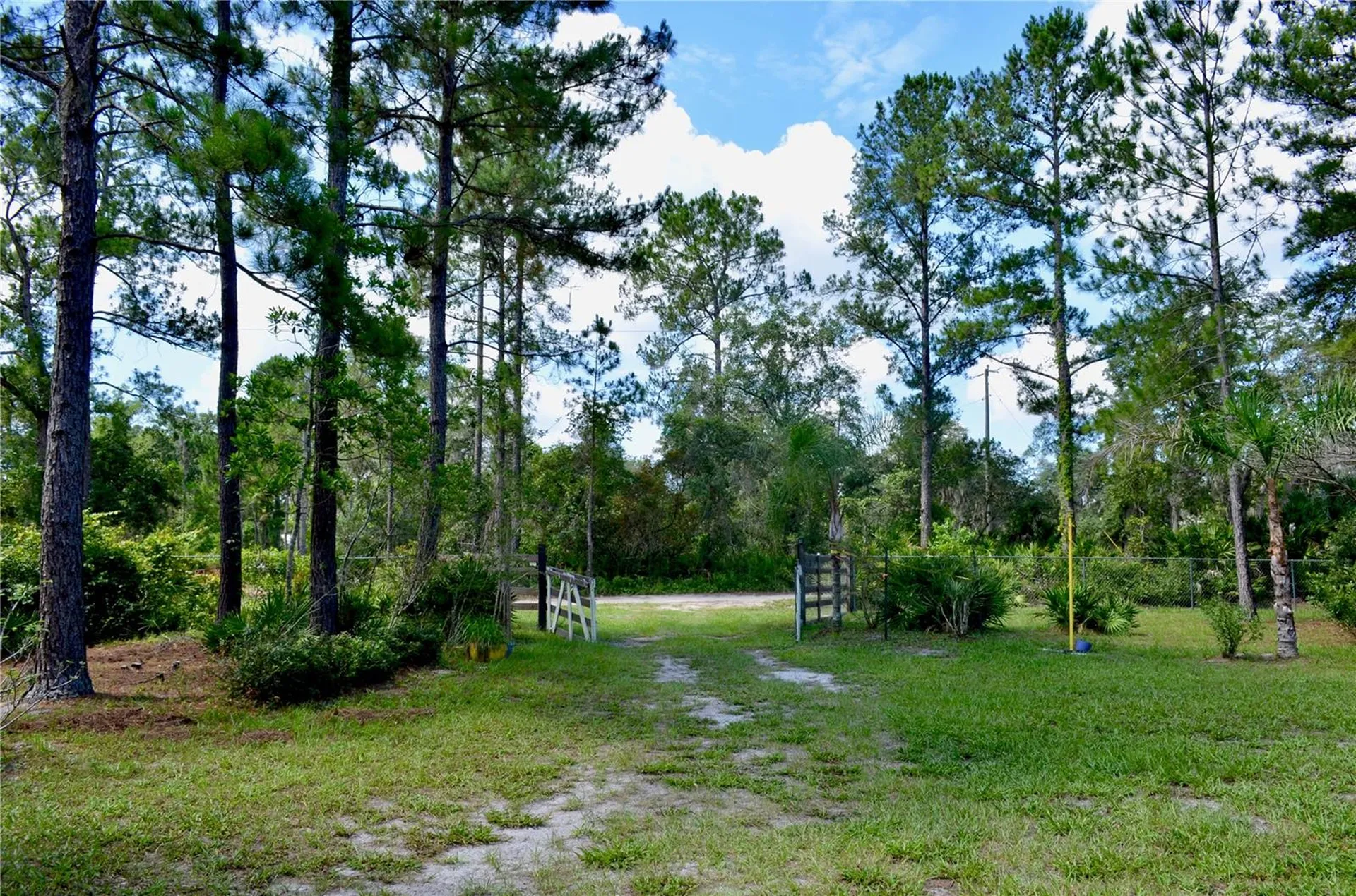 33135 Forest Ridge Road Deland FL 32720