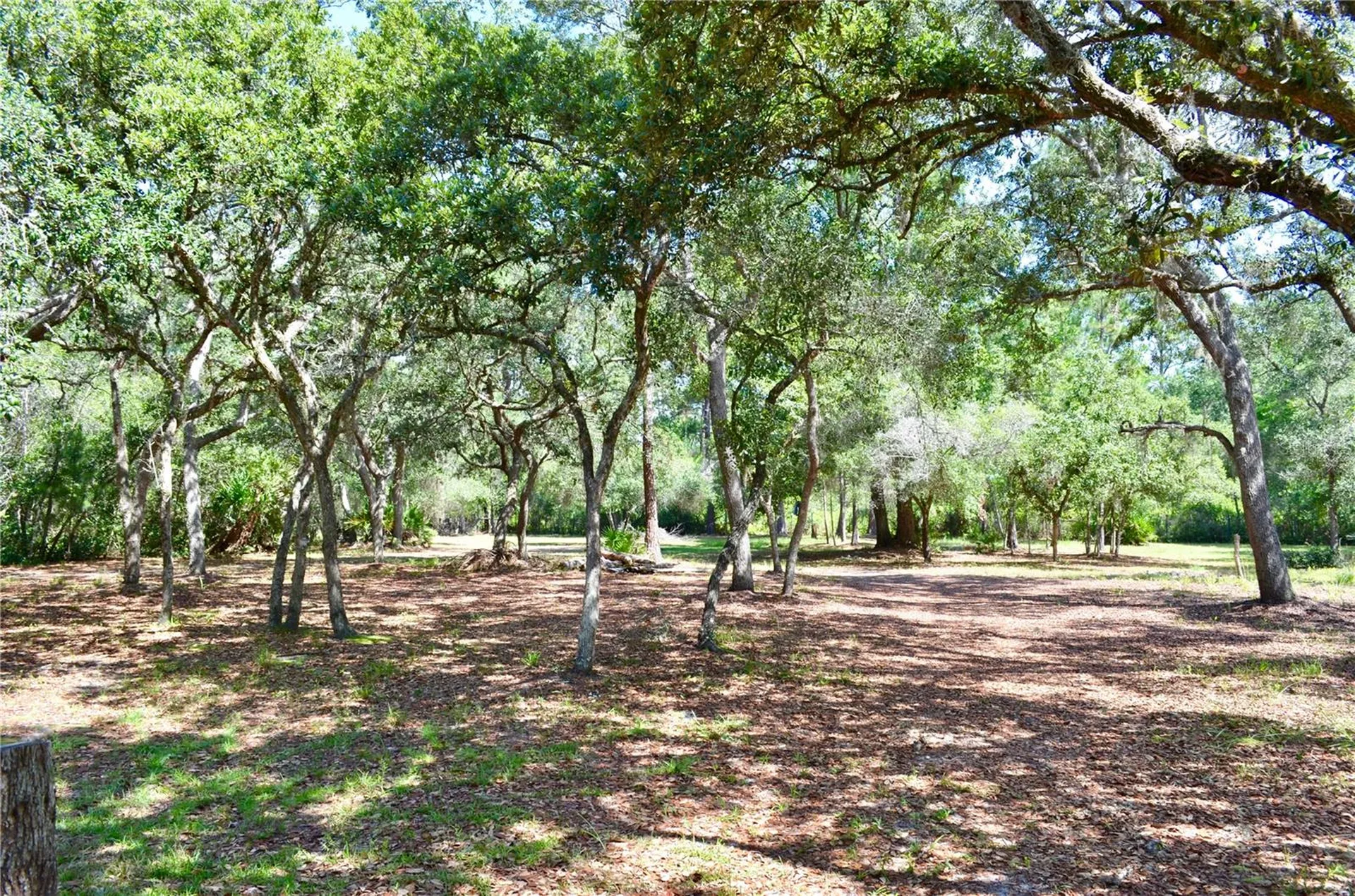 33135 Forest Ridge Road Deland FL 32720