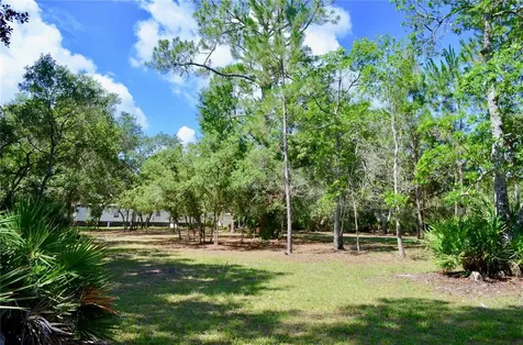 33135 Forest Ridge Road Deland FL 32720