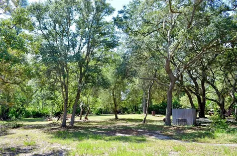 33135 Forest Ridge Road Deland FL 32720