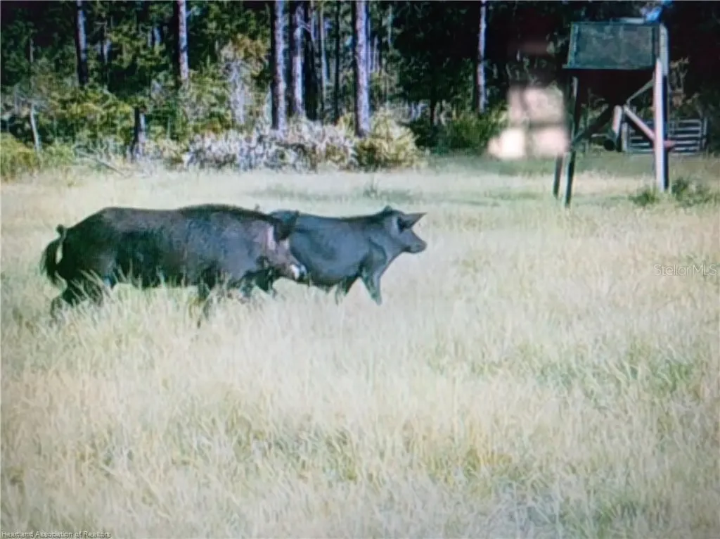 17470 County Road 731 Venus FL 33960