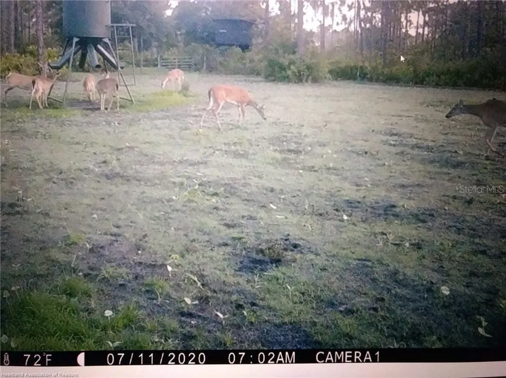 17470 County Road 731 Venus FL 33960