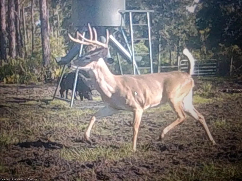 17470 County Road 731 Venus FL 33960