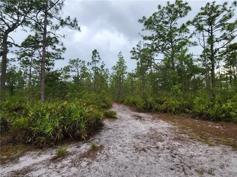 17470 County Road 731 Venus FL 33960